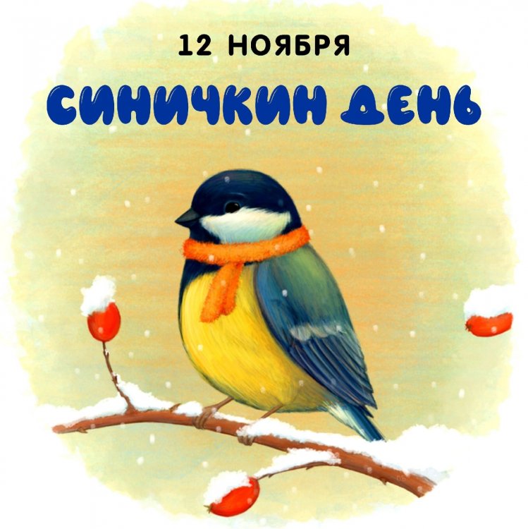 img (6)
